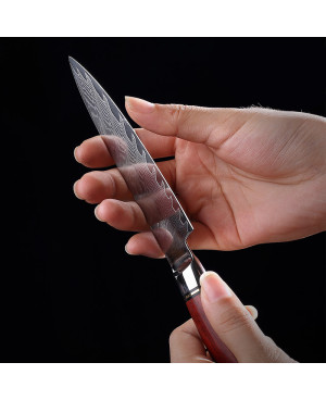 Stainless Steel Small Multi Function Knife